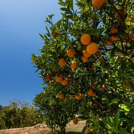 Planells Agroturismo