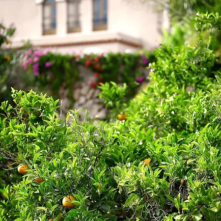 Planells * Sant Miquel de Balansat